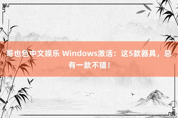 哥也色中文娱乐 Windows激活：这5款器具，总有一款不错！