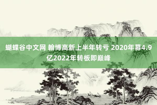 蝴蝶谷中文网 翰博高新上半年转亏 2020年募4.9亿2022年转板即巅峰