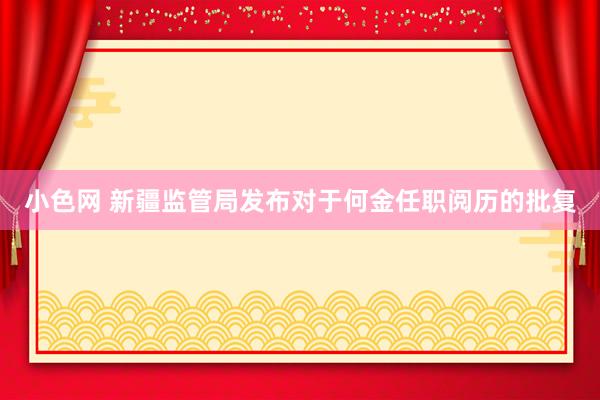 小色网 新疆监管局发布对于何金任职阅历的批复