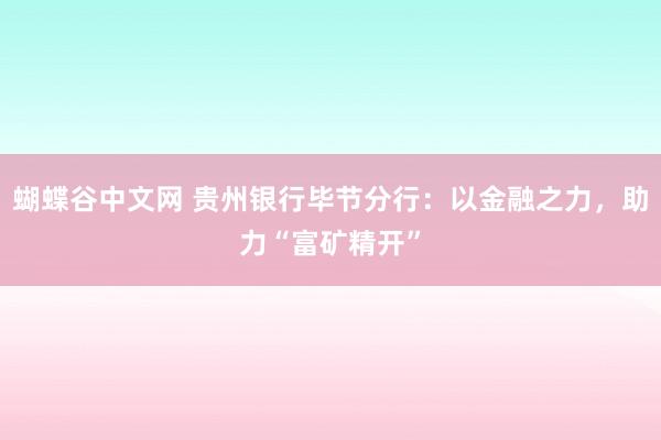 蝴蝶谷中文网 贵州银行毕节分行：以金融之力，助力“富矿精开”