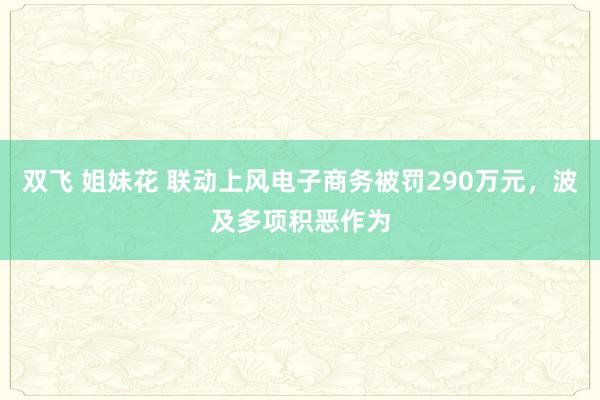 双飞 姐妹花 联动上风电子商务被罚290万元，波及多项积恶作为