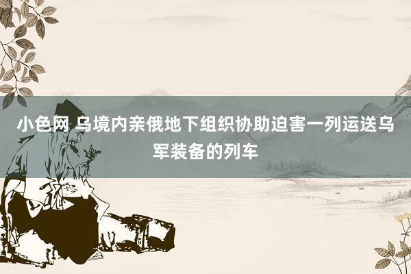 小色网 乌境内亲俄地下组织协助迫害一列运送乌军装备的列车