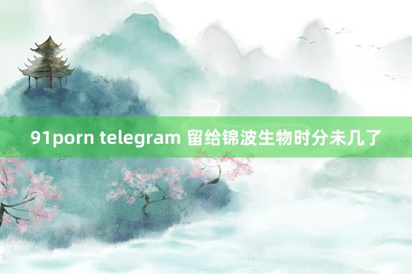 91porn telegram 留给锦波生物时分未几了