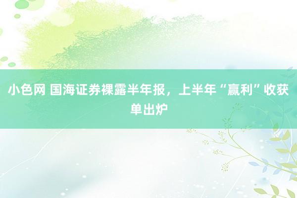 小色网 国海证券裸露半年报，上半年“赢利”收获单出炉