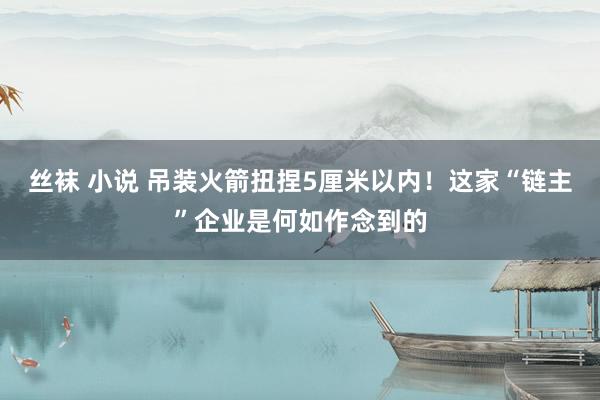 丝袜 小说 吊装火箭扭捏5厘米以内！这家“链主”企业是何如作念到的