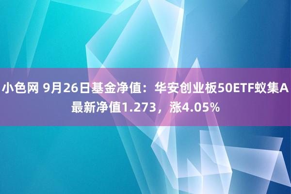 小色网 9月26日基金净值：华安创业板50ETF蚁集A最新净值1.273，涨4.05%
