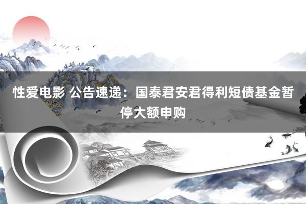 性爱电影 公告速递：国泰君安君得利短债基金暂停大额申购