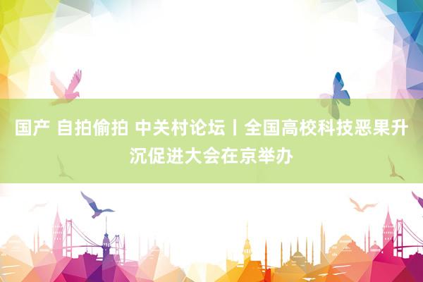 国产 自拍偷拍 中关村论坛丨全国高校科技恶果升沉促进大会在京举办