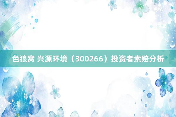 色狼窝 兴源环境（300266）投资者索赔分析