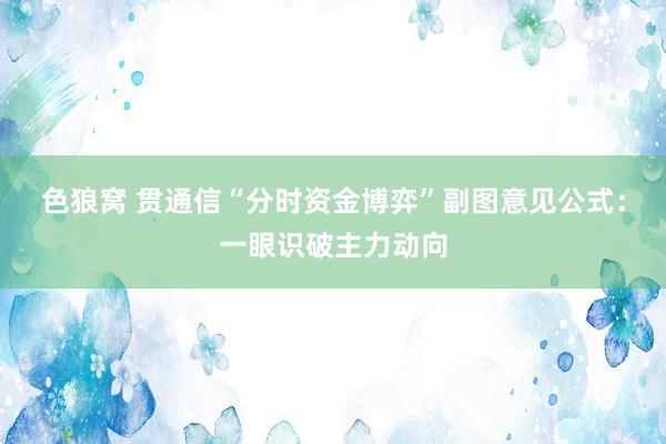 色狼窝 贯通信“分时资金博弈”副图意见公式：一眼识破主力动向