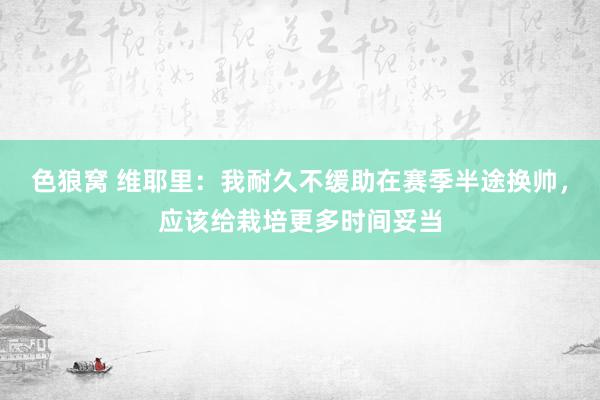 色狼窝 维耶里：我耐久不缓助在赛季半途换帅，应该给栽培更多时间妥当