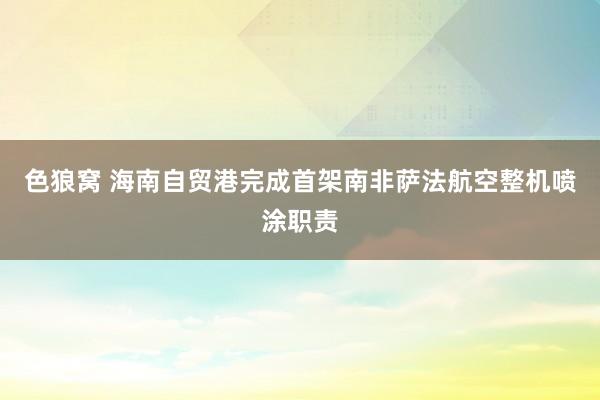 色狼窝 海南自贸港完成首架南非萨法航空整机喷涂职责