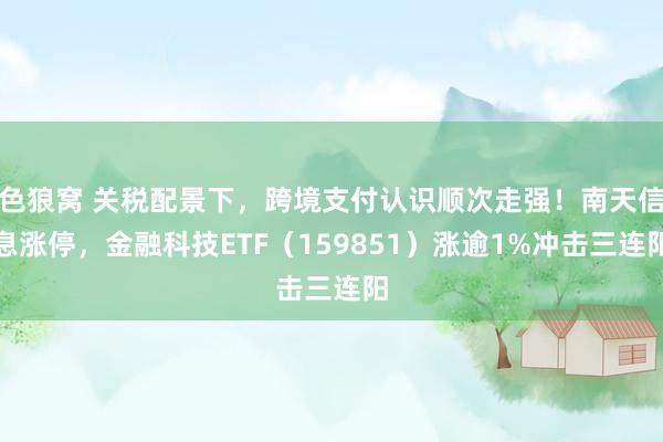 色狼窝 关税配景下，跨境支付认识顺次走强！南天信息涨停，金融科技ETF（159851）涨逾1%冲击三连阳
