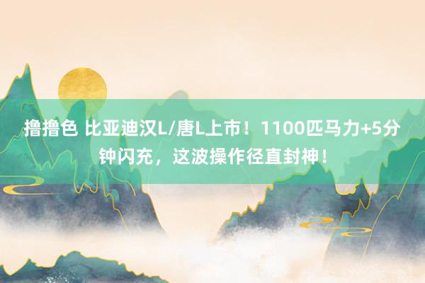 撸撸色 比亚迪汉L/唐L上市！1100匹马力+5分钟闪充，这波操作径直封神！