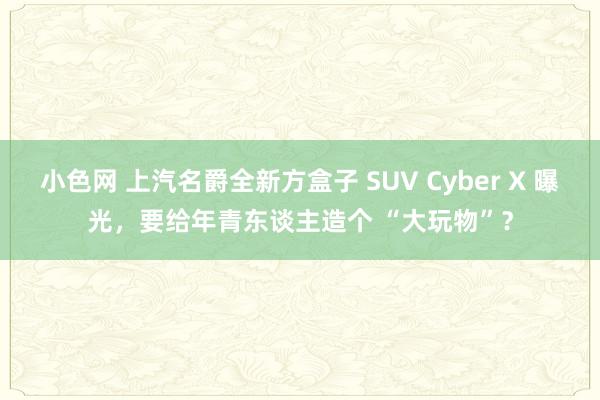 小色网 上汽名爵全新方盒子 SUV Cyber X 曝光,要给年青东谈主造个 “大玩物”?