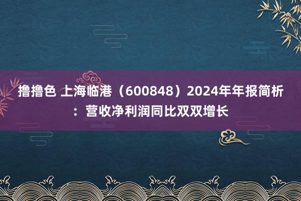 撸撸色 上海临港（600848）2024年年报简析：营收净利润同比双双增长