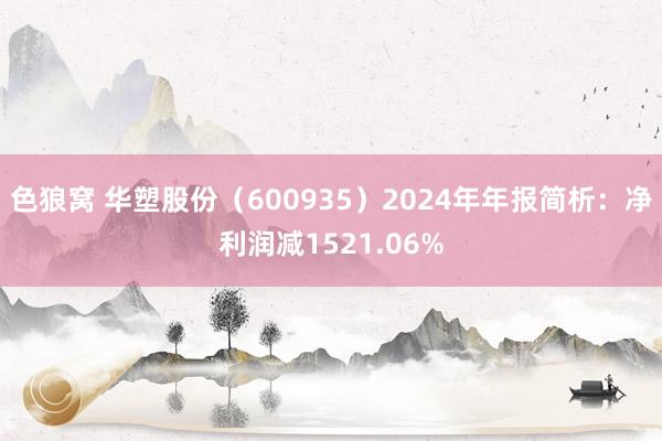 色狼窝 华塑股份（600935）2024年年报简析：净利润减1521.06%