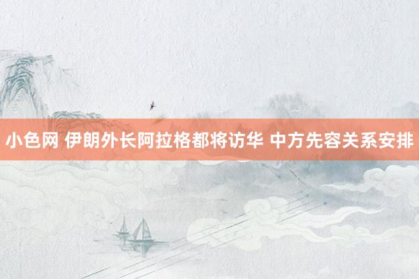 小色网 伊朗外长阿拉格都将访华 中方先容关系安排