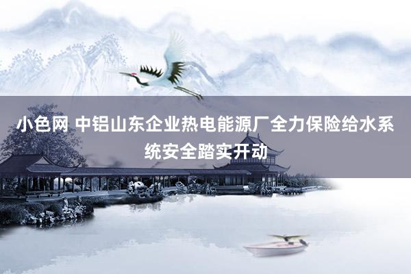 小色网 中铝山东企业热电能源厂全力保险给水系统安全踏实开动