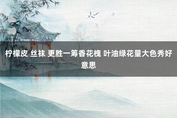 柠檬皮 丝袜 更胜一筹香花槐 叶油绿花量大色秀好意思